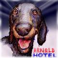 lo que sucede conviene-011-arnold hotel