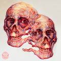 lo que sucede conviene-011-anatomy